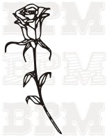 /album/kvety-stromy/kvety-11-jpg/